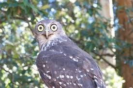 Незаменимых нет