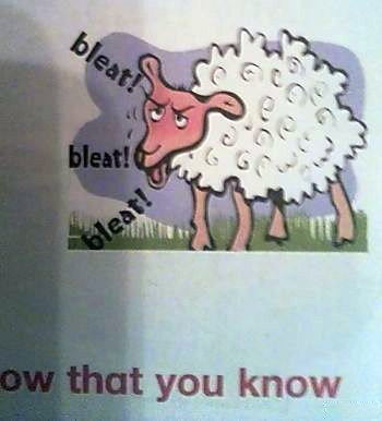 Злая овечка из детского учебника                 FAaliXiSBcs