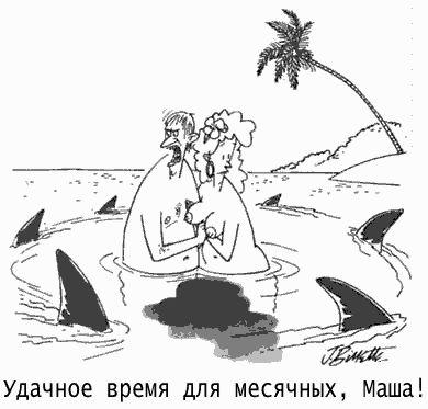 удачное время
