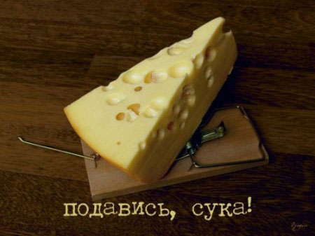 �������� �����