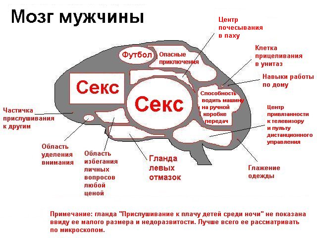 Научные название различных видов секса113