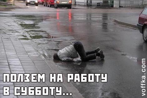 Работать негры!