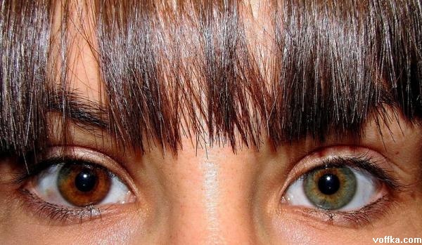 Natural Look - Наращивание ресниц в Санкт 12 мифов о массаже