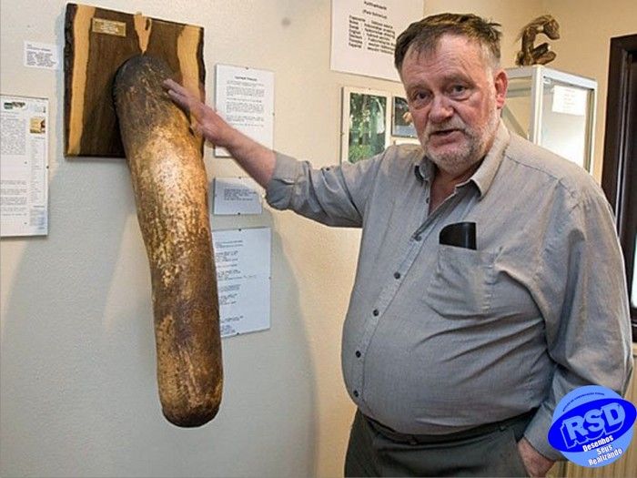 Мнение женщин о большом члене