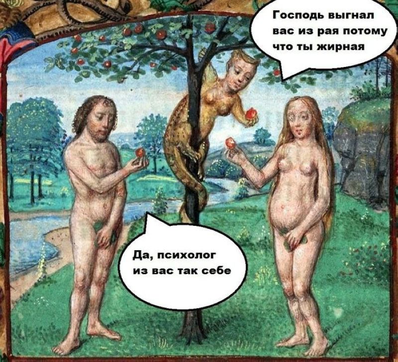 🖼