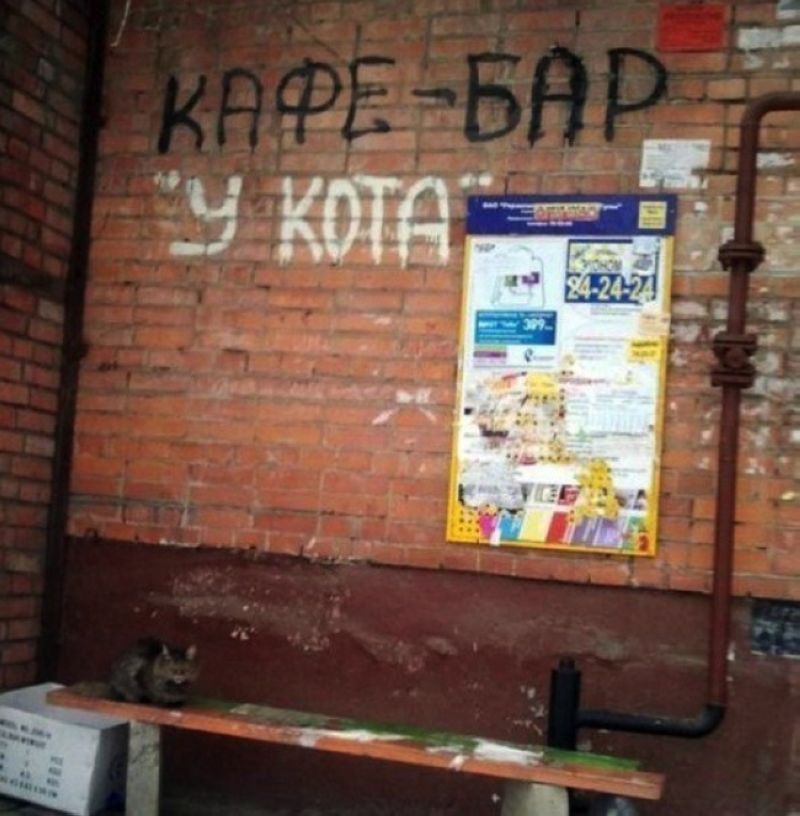   -  