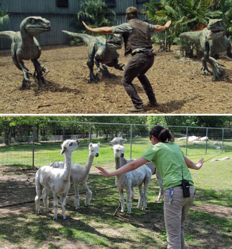 Jurassic World