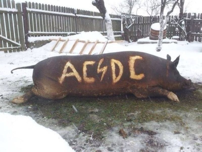 Свинопись