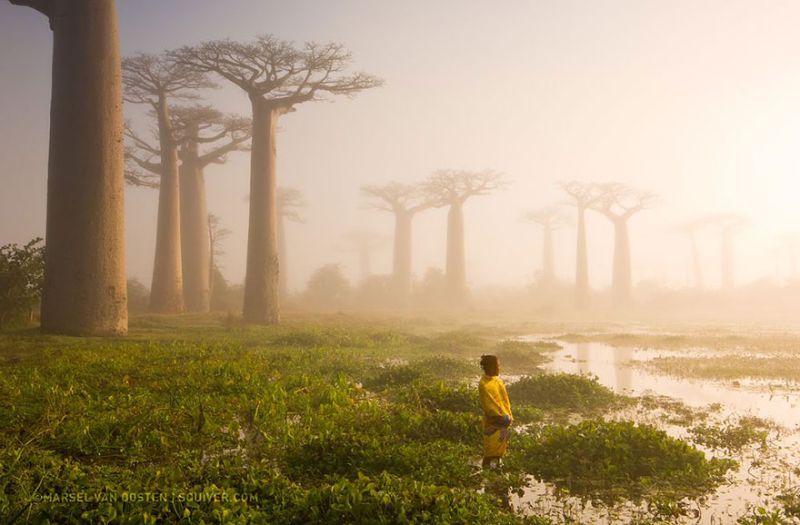 Лучшие фото от National Geographic за 2015 год