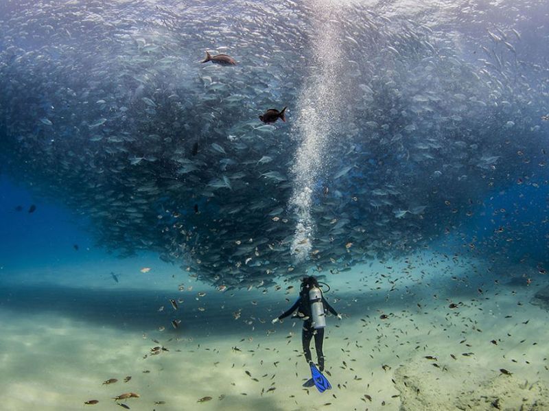 Лучшие фото от National Geographic за 2015 год