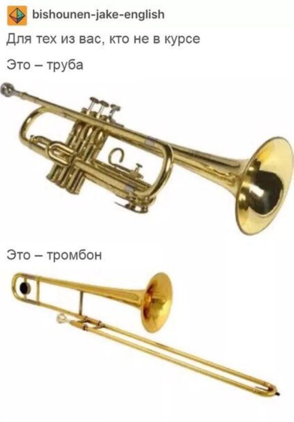 Не грози южному музыканту