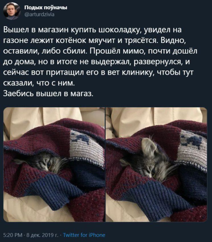Если вдруг вы ещё не плакали в этом году