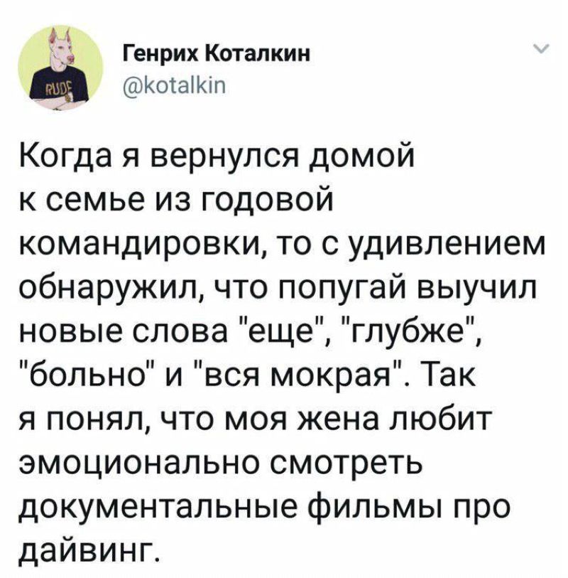 твит