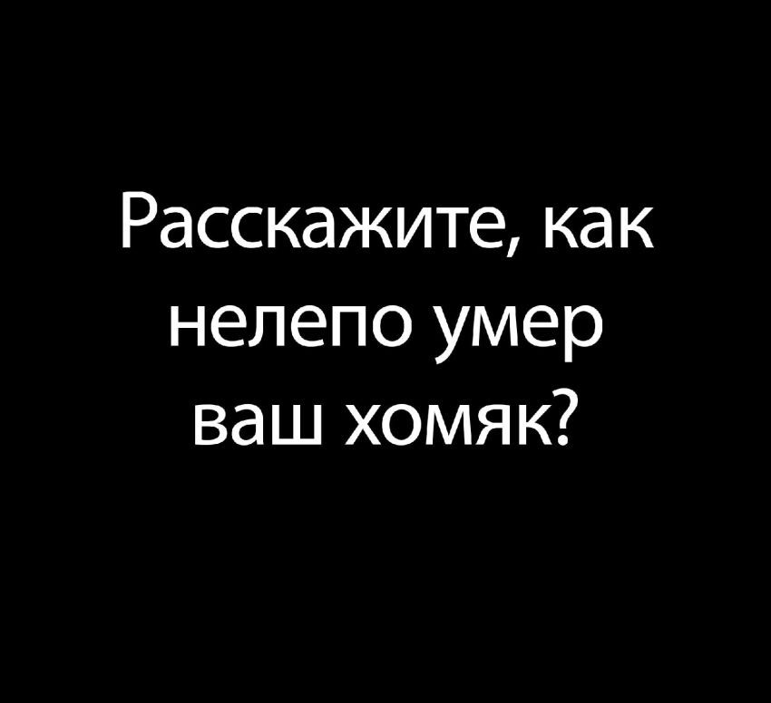 хомяк