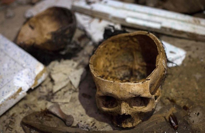 �������� ���������