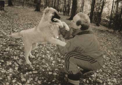 �������� � voffka.com